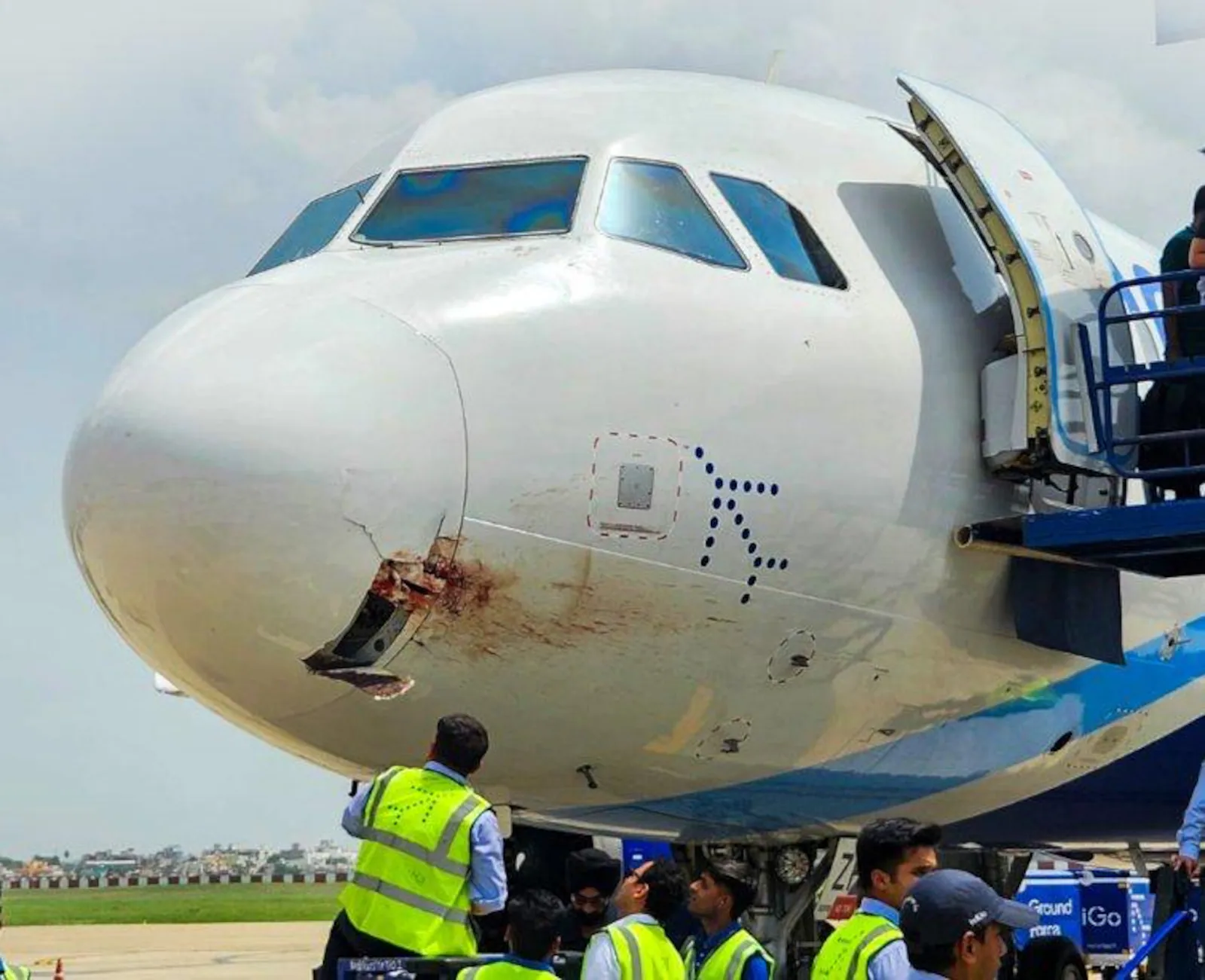 Avião com 175 pessoas a bordo é obrigado a arremeter após colisão com pássaro