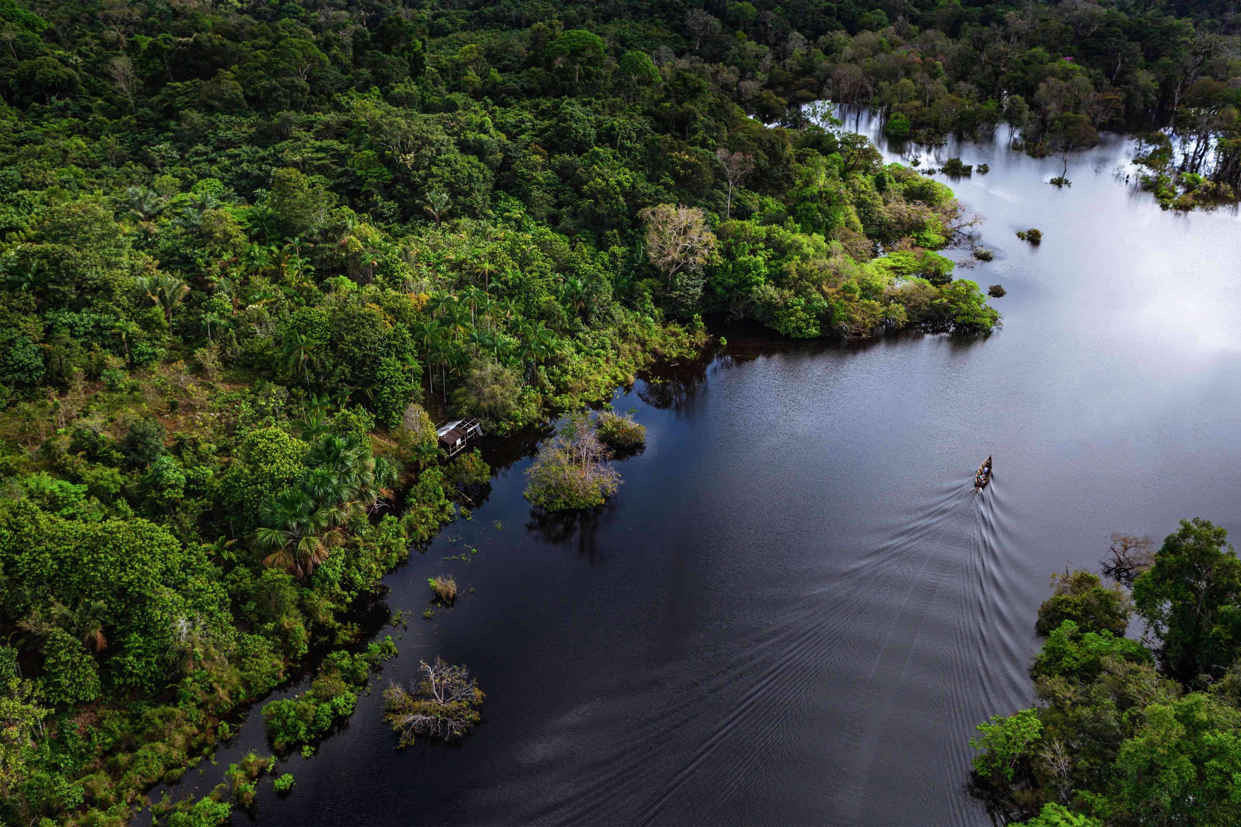 Senai-MS participa de estudo da Petrobrás que transforma resíduos de pesca na Amazônia em combustível e ração