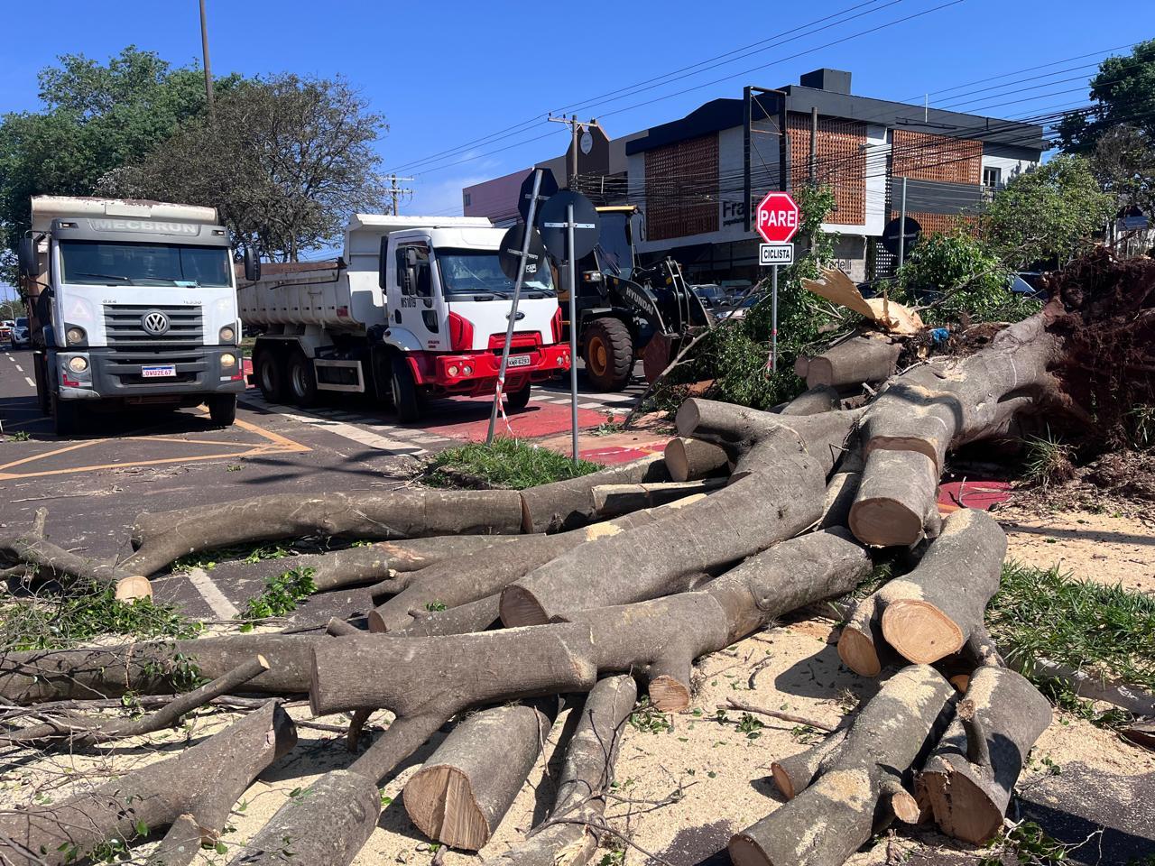 Prefeitura mantém força-tarefa para atender ocorrências após temporal