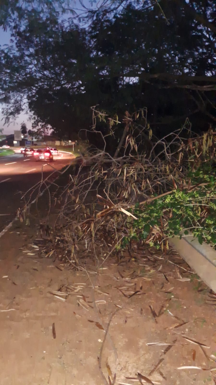Abandono chama atenção na Avenida Lúdio Coelho e moradores cobram providências