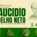 Produtores rurais serão homenageados em solenidade na Câmara