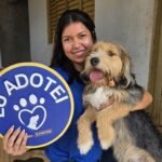 Cães e gatos resgatados buscam nova família no domingo 