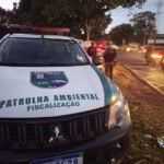 Descarte irregular de resíduos pode virar crime ambiental 
