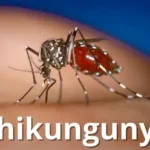 Corumbá registra primeira morte por chikungunya em 2026 e reforça alerta contra o Aedes aegypti